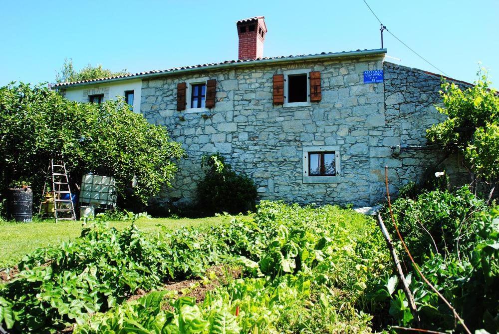 Villa Casa Anka Gračišće Exterior foto